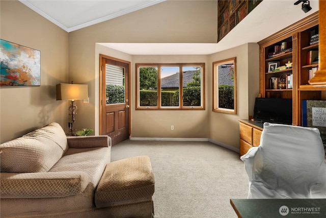 2911 196th Avenue Ct E, Lake Tapps, WA 98391 - photo 7