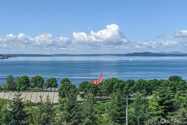 2929 1st Ave Unit 309, Seattle, WA 98121 - photo 1