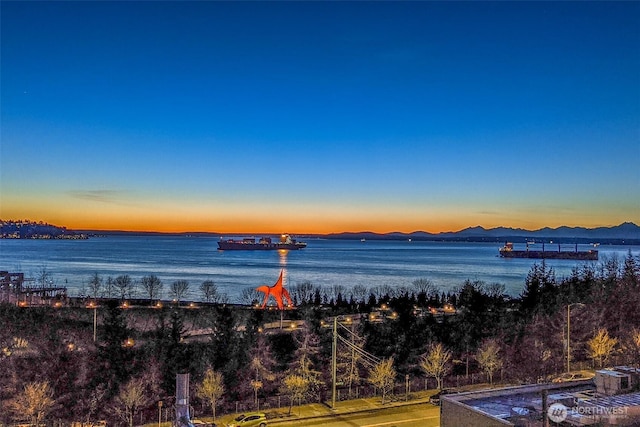 2929 1st Ave Unit 309, Seattle, WA 98121 - photo 17