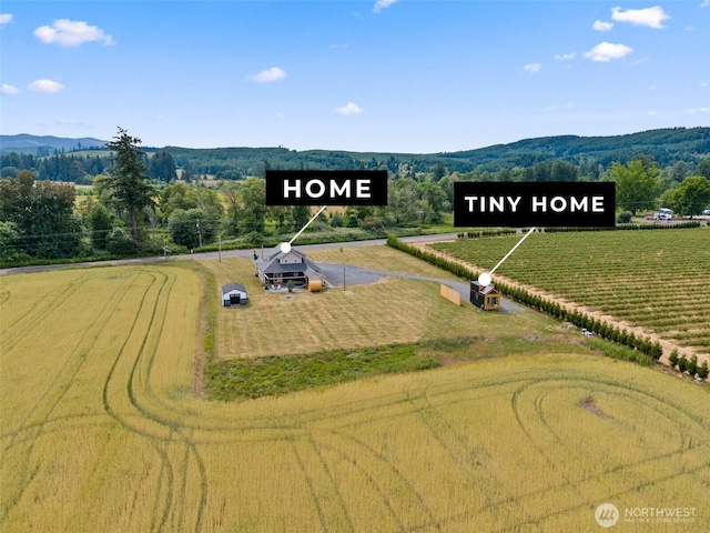 953 Boistfort Rd, Curtis, WA 98538 - photo 1