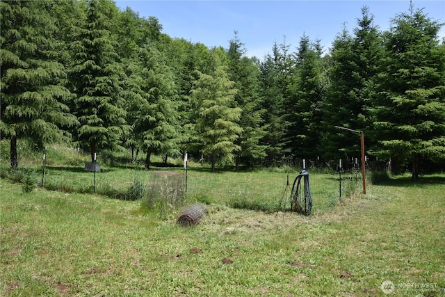 112 Primrose Ln, Cinebar, WA 98533 - view of yard featuring a wooded view