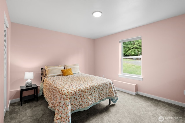 1172 Thorndyke Rd, Port Ludlow, WA 98365 - carpeted bedroom with a closet and baseboards