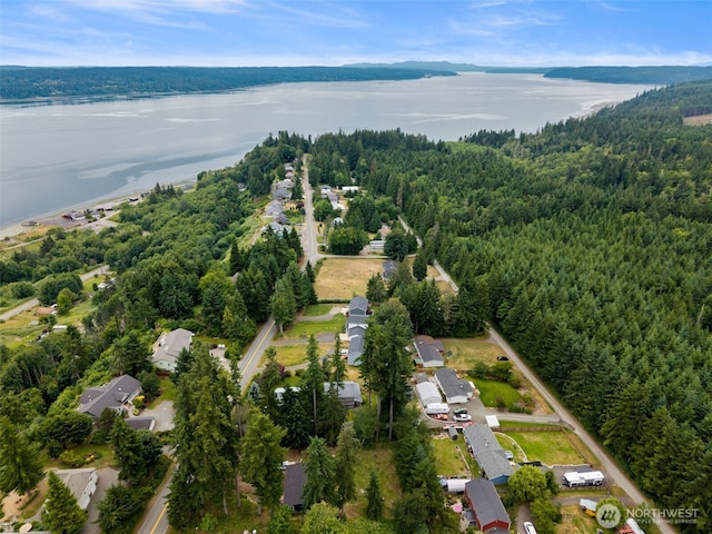 1172 Thorndyke Rd, Port Ludlow, WA 98365 - aerial overview of property's location featuring a heavily wooded area and a nearby body of water