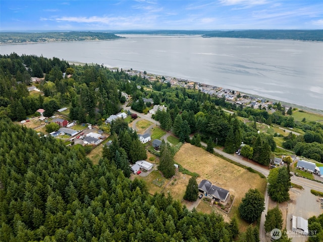 1172 Thorndyke Rd, Port Ludlow, WA 98365 - aerial overview of property's location featuring a large body of water