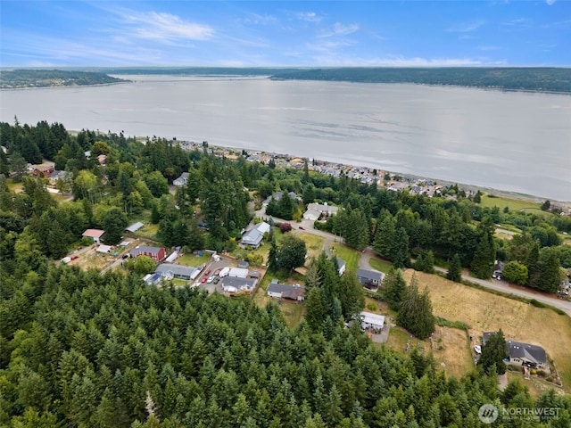 1172 Thorndyke Rd, Port Ludlow, WA 98365 - aerial view of property's location with a large body of water