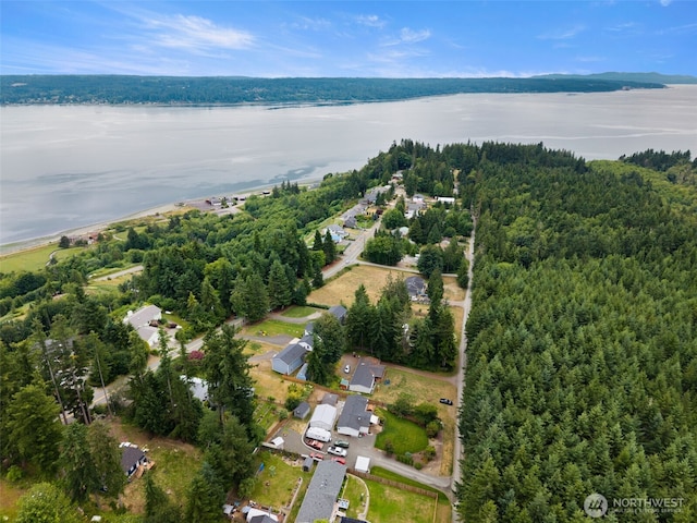 1172 Thorndyke Rd, Port Ludlow, WA 98365 - aerial overview of property's location featuring a large body of water and a heavily wooded area