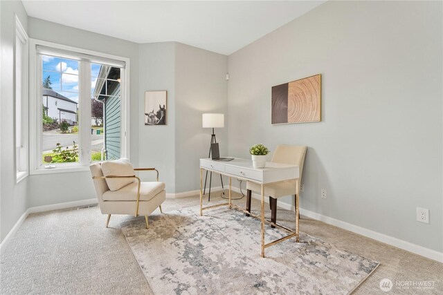 15518 129th Ave NE, Woodinville, WA 98072 - photo 23