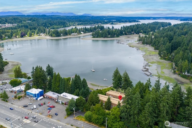 921 Pershing Ave Unit 101, Bremerton, WA 98312 - aerial view of a large body of water