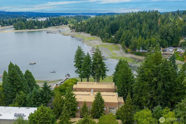 921 Pershing Ave Unit 101, Bremerton, WA 98312 - aerial view of a forest and a large body of water