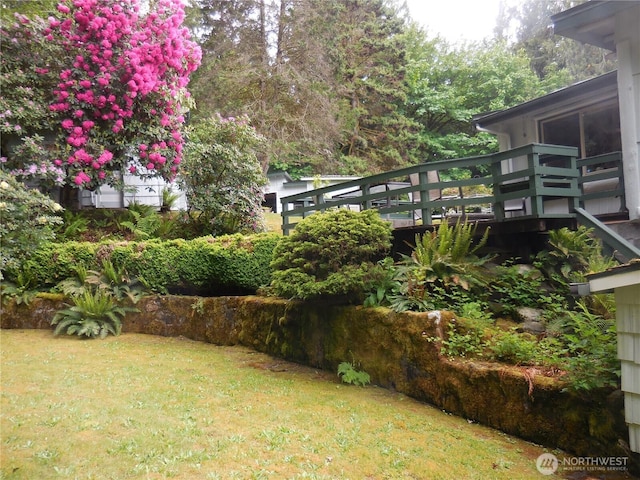3649 Long Lake Rd SE, Port Orchard, WA 98366 - view of green lawn
