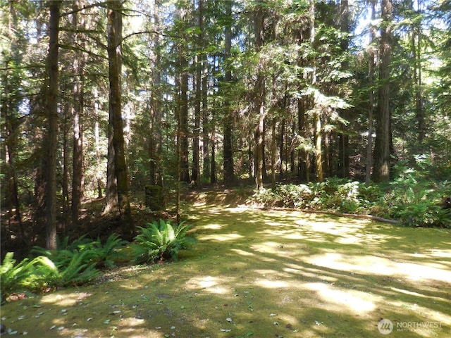 3649 Long Lake Rd SE, Port Orchard, WA 98366 - view of yard featuring a view of trees