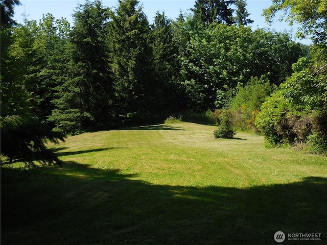 3649 Long Lake Rd SE, Port Orchard, WA 98366 - view of grassy yard with a view of trees