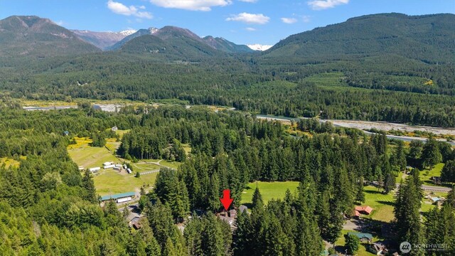 109 Mary Ln, Packwood, WA 98361 - photo 30