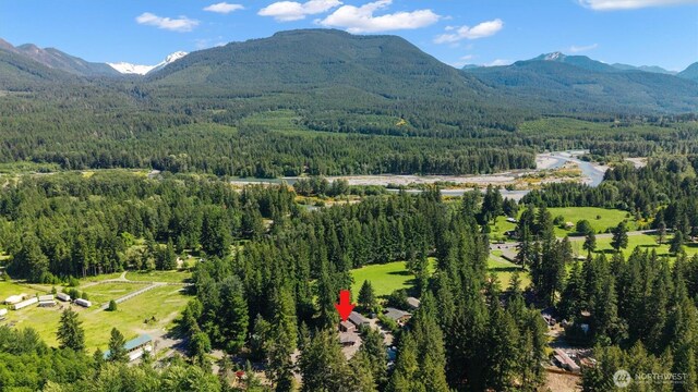 109 Mary Ln, Packwood, WA 98361 - photo 31