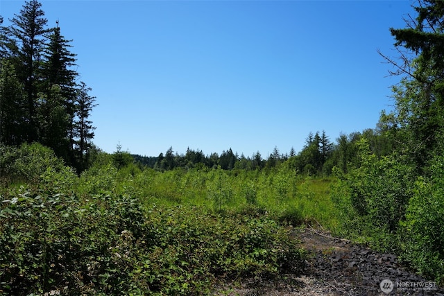 0 Rush Rd, Chehalis, WA 98532