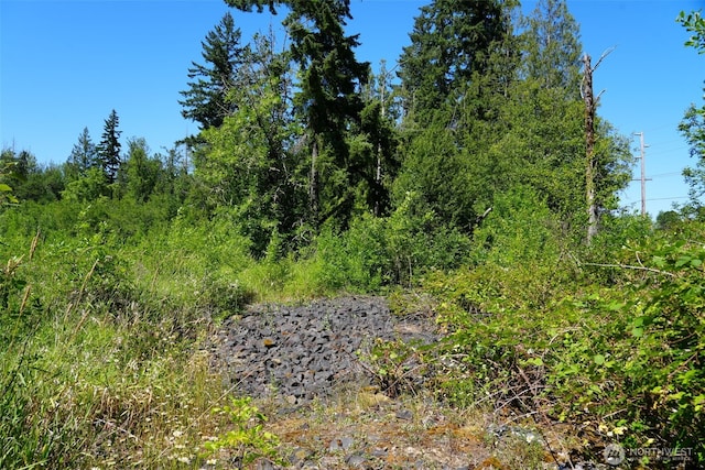 0 Rush Rd, Chehalis, WA 98532