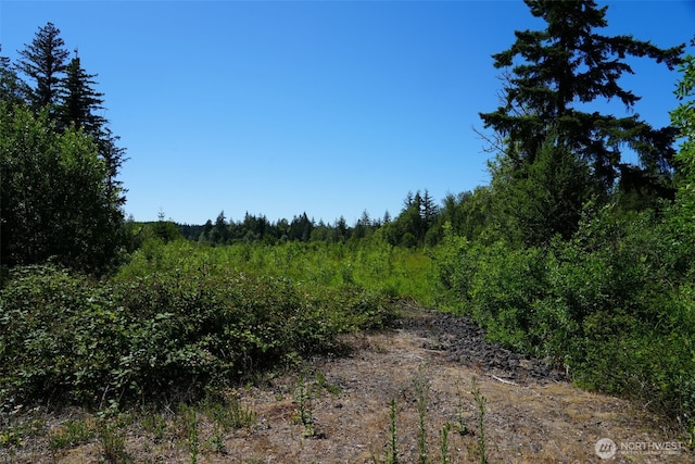 0 Rush Rd, Chehalis, WA 98532