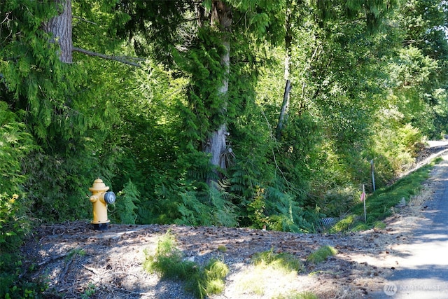 0 Rush Rd, Chehalis, WA 98532