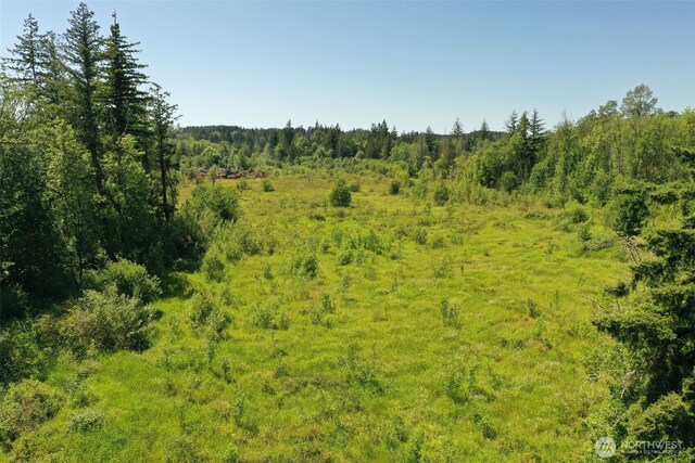 0 Rush Rd, Chehalis, WA 98532 - photo 8