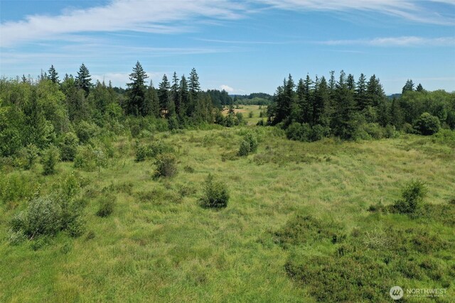 0 Rush Rd, Chehalis, WA 98532 - photo 10