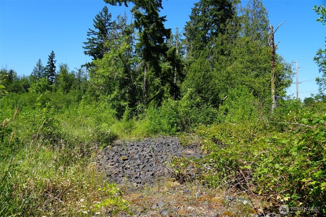0 Rush Rd, Chehalis, WA 98532 - photo 17