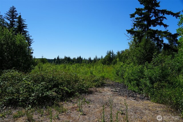 0 Rush Rd, Chehalis, WA 98532 - photo 18