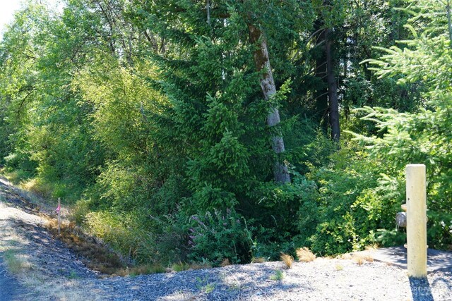 0 Rush Rd, Chehalis, WA 98532 - photo 19