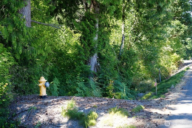 0 Rush Rd, Chehalis, WA 98532 - photo 20