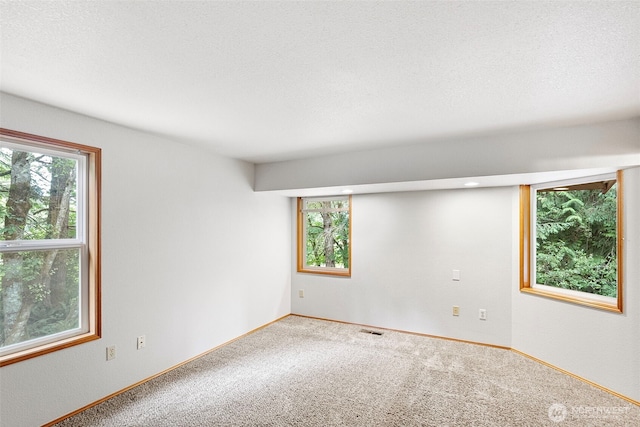 1563 Nylace Ln SE, Port Orchard, WA 98367 - photo 13