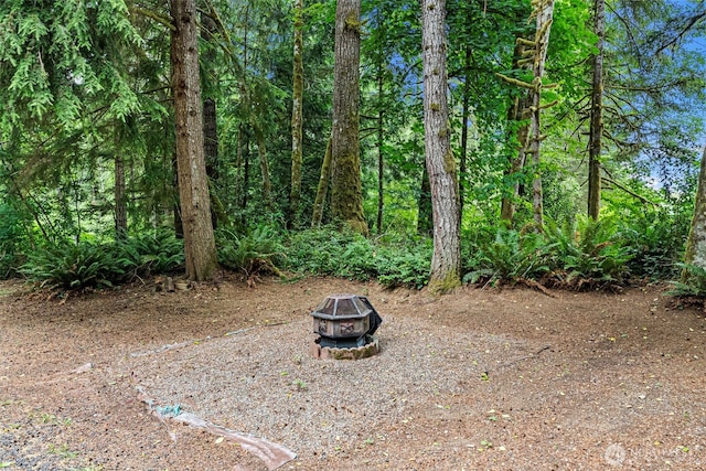 1563 Nylace Ln SE, Port Orchard, WA 98367 - view of yard featuring a fire pit