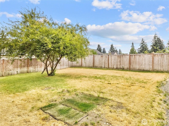 2220 166th St Ct E, Tacoma, WA 98445 - view of fenced backyard
