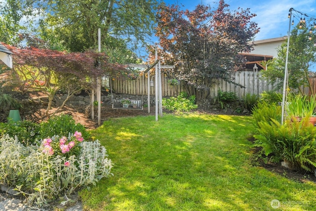 4926 42nd Ave S, Seattle, WA 98118 - view of yard