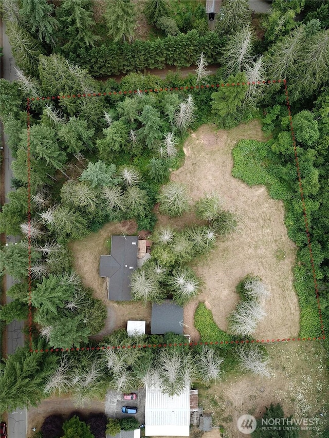 31109 202nd Ave SE, Kent, WA 98042 - aerial view of property and surrounding area featuring property parcel outlined