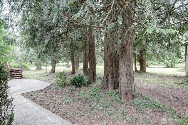 31109 202nd Ave SE, Kent, WA 98042 - view of yard