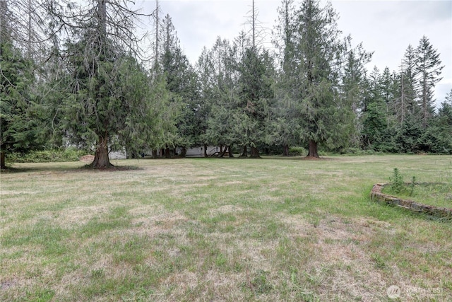 31109 202nd Ave SE, Kent, WA 98042 - view of green lawn
