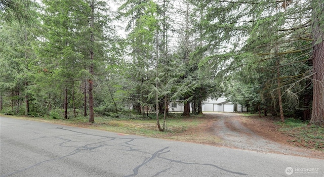 31109 202nd Ave SE, Kent, WA 98042 - view of asphalt driveway
