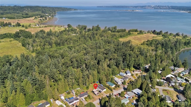 8669 Harbor Dr, Blaine, WA 98230 - aerial view of property and surrounding area with a large body of water and a forest