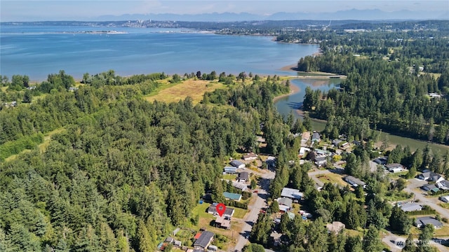 8669 Harbor Dr, Blaine, WA 98230 - aerial overview of property's location with a large body of water and a forest