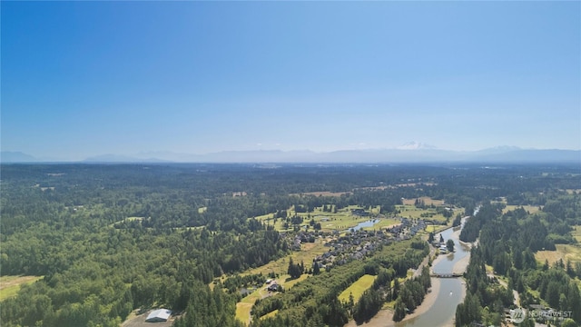 8669 Harbor Dr, Blaine, WA 98230 - bird's eye view of a forest