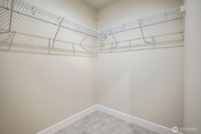 3606 E M St, Tacoma, WA 98404 - walk in closet with carpet flooring