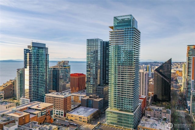 300 Virginia St Unit 1311, Seattle, WA 98101 - city view with a nearby body of water