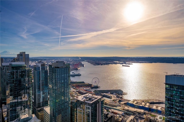 300 Virginia St Unit 1311, Seattle, WA 98101 - city view with a large body of water