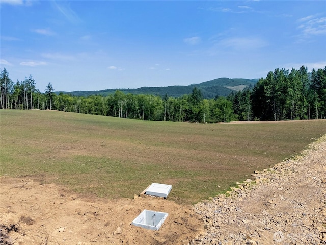177 Justus Rd, Onalaska, WA 98570