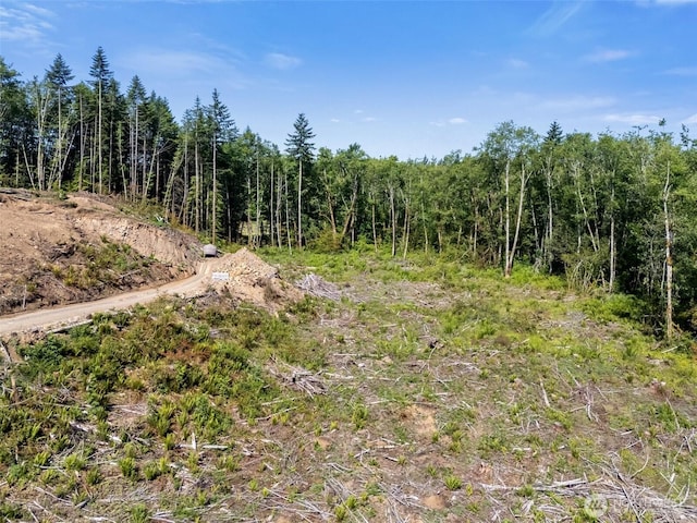 177 Justus Rd, Onalaska, WA 98570