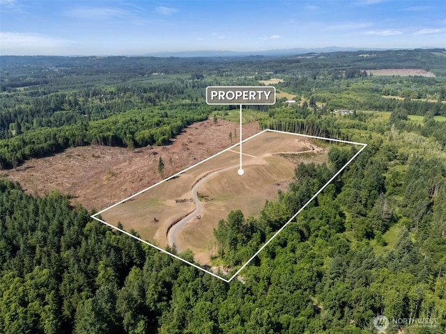 177 Justus Rd, Onalaska, WA 98570