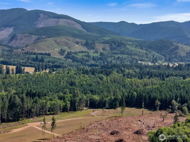 177 Justus Rd, Onalaska, WA 98570