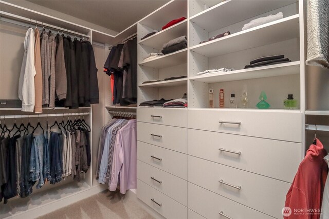 16321 SE 133rd Pl, Renton, WA 98059 - view of walk in closet