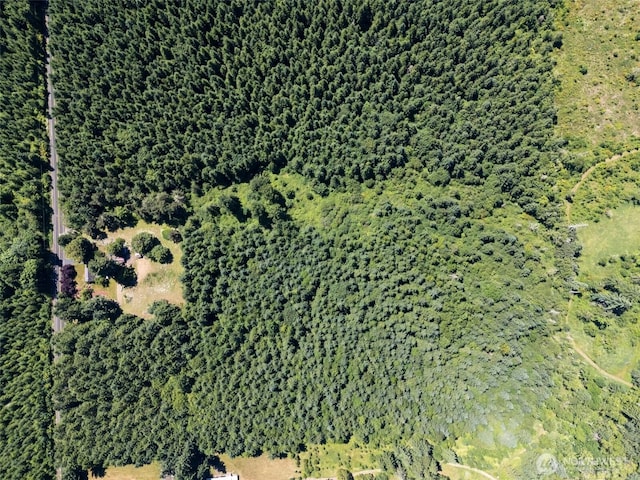 0 Kiser, Ethel, WA 98542 - photo 3