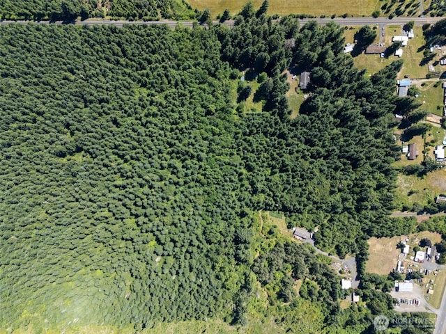 0 Kiser, Ethel, WA 98542 - photo 6