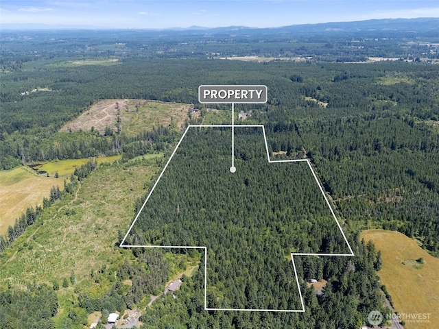 0 Kiser, Ethel, WA 98542 - photo 7